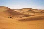 Marrakech y Desierto