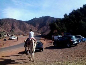viajes-gratis-concurso-marrakech-low-cost-6