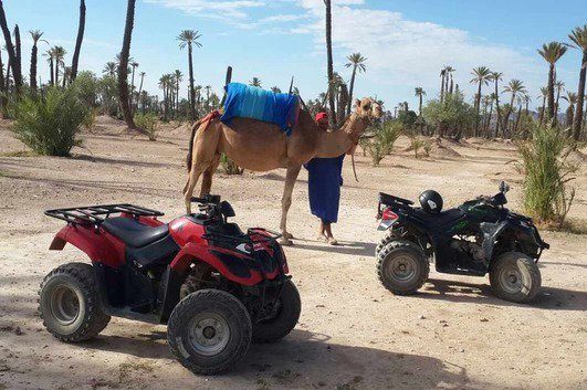 Hombres y camello junto a quad en el desierto.