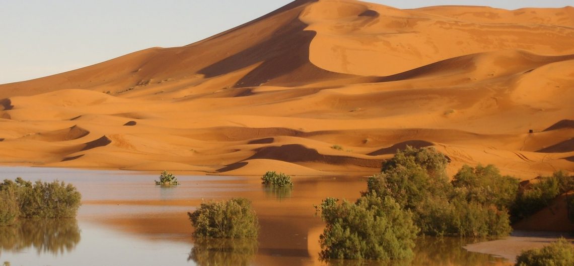 Excursión al desierto de Merzouga
