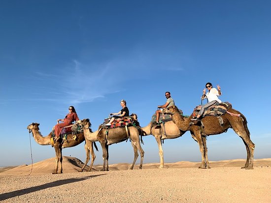 Excursión al Desierto de Agafay  Scarabeo 
