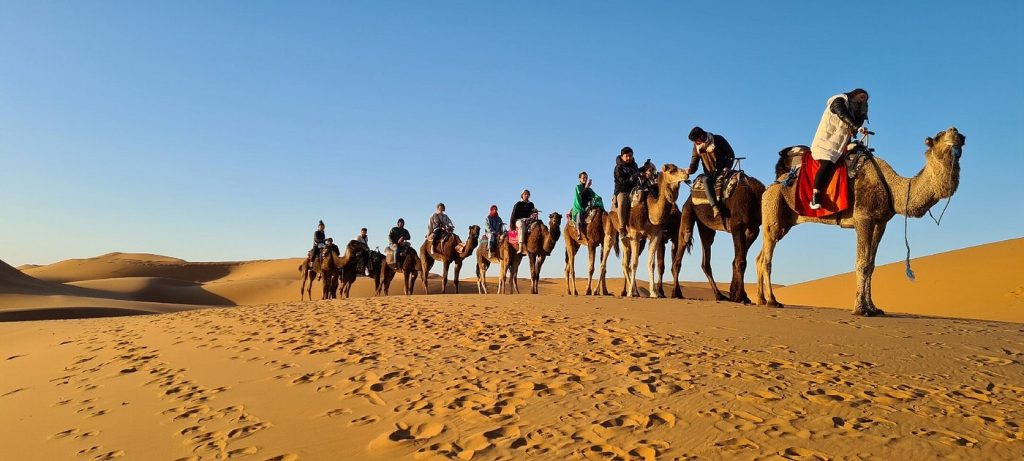 Viajes en grupo desde Marrakech al desierto Caravana de camellos avanzando en el desierto.