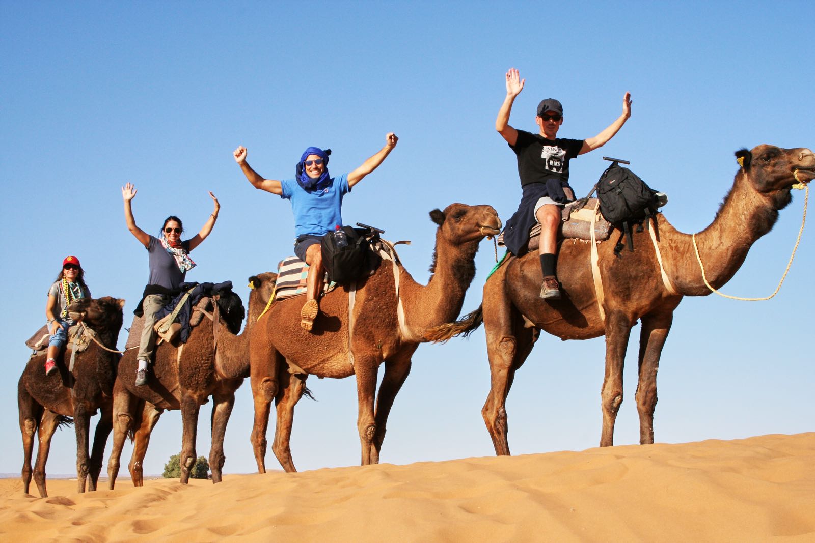 Viaje Semana Santa al desierto de Marruecos Caravana de camellos avanzando por las dunas del Sahara en Marruecos.