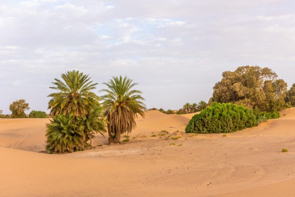 amanecer en el desierto de Merzouga